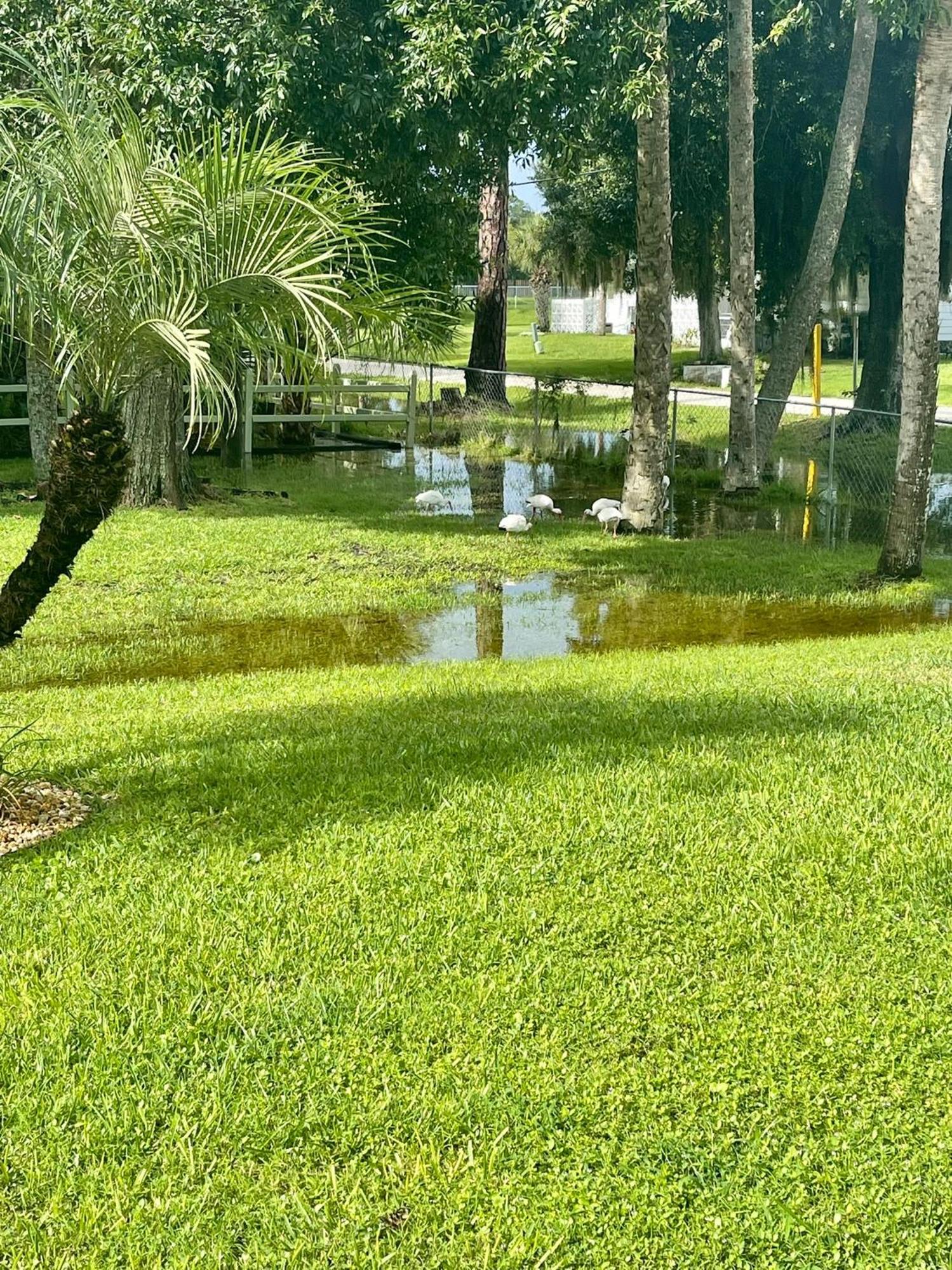 Sunny Oasis Getaway -Heated Pool-Mini Golf-Near Beach Nokomis Exterior foto